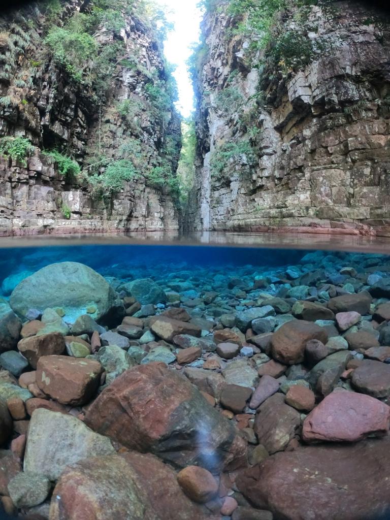 parque Ricardo Franco