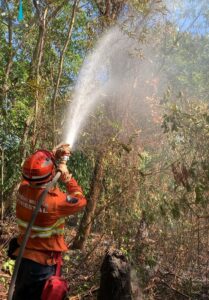 vídeos incêndios Pantanal