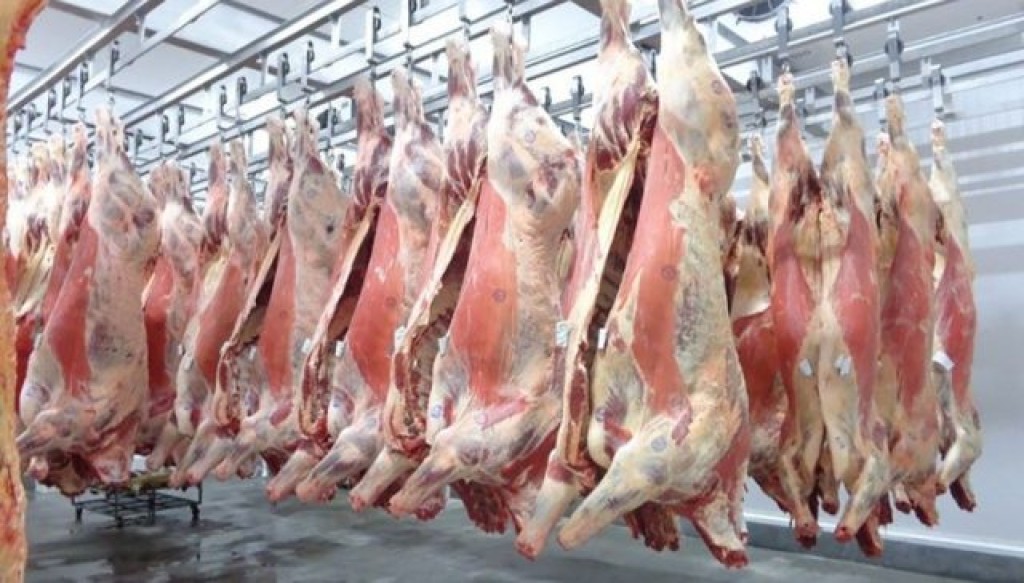 carnes frigorífico