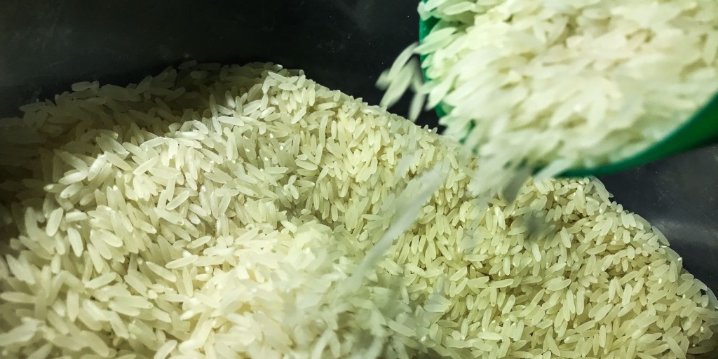 arroz