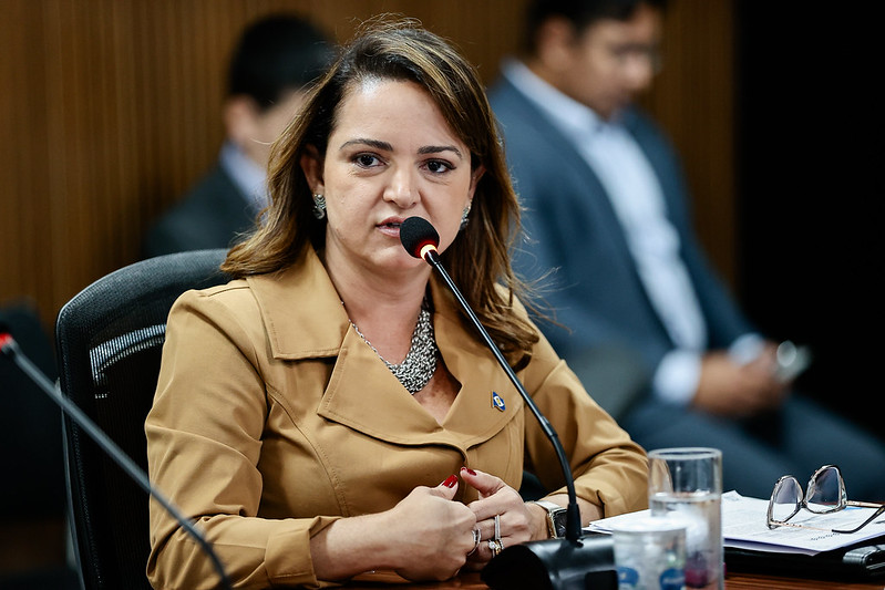 secretária de meio ambiente Mauren Lazzaretti
