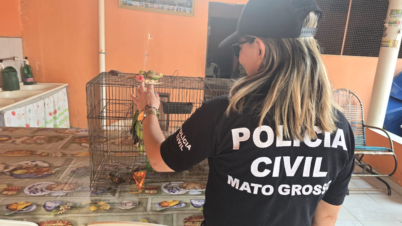 Operação Sansão, de combate a maus-tratos de animais